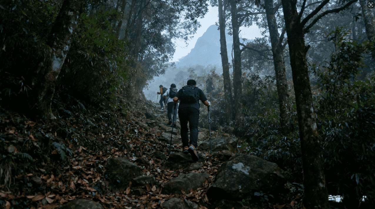 详细攻略：快喵VPV加速器免费版下载安装与使用教程